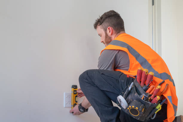 Best Electrical Upgrades for Homes  in Starbuck, MN