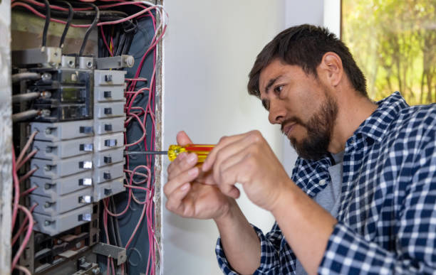 Best Home Electrical Repair  in Starbuck, MN